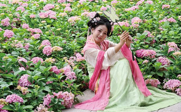 绣球花更添古韵 张爱玲/摄