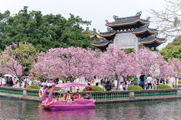 游客在宝墨园赏花(通讯员供图)