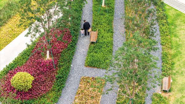 爷孙俩在宁埔口袋公园漫步 李伟竞/摄